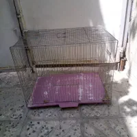 قفس پرندگان سالم و تمیز|لوازم جانبی حیوانات|کرج, دولت‌آباد|دیوار