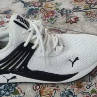 کتونی پوما اورجینال|کیف، کفش، کمربند|ماهدشت, |دیوار