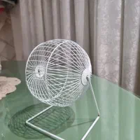 چرخ و فلک همستر