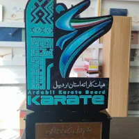 عکس دلخواه بر روی لباس|خدمات رایانه‌ای و موبایل|اردبیل, |دیوار