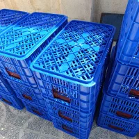 سبد.مرغ.ماهی.گوجه|عمدهفروشی|مرودشت, رامجرد یک|دیوار