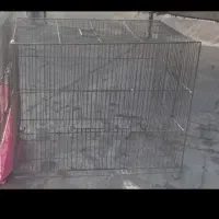 قفس