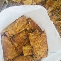 برگ زرد برازجان