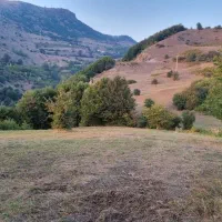 ۱۵۰۰مترمربع زمین دارای مجوز تاسیس گلخانه طالکوه|فروش زمین و ملک کلنگی|بره‌سر, |دیوار