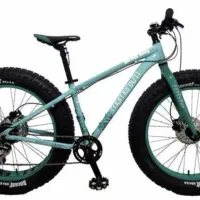 دوچرخه ساحلی جاینت درحد