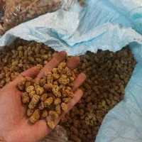 توت خشک ارگانیک به شرط کیفیت وتمیزی فقط کیلویی ۶۰۰|خوردنی و آشامیدنی|تهران, دهقان|دیوار