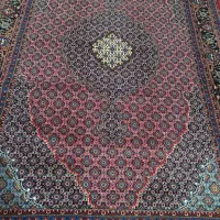 قالی ۶ متری نو