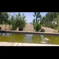 فروش باغچه ۳۵۰ متری اسلامشهر اتوبان واوان|فروش دفتر صنعتی، کشاورزی، تجاری|اسلام‌شهر, شهرک واوان|دیوار