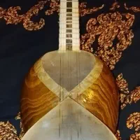 تار شاه توت