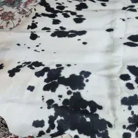 پوست گاو اماده  برای زیر پا دکوری دباغی شده