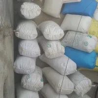 جو بذری