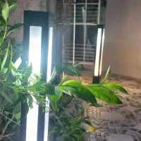 سیم کشی و برقکاری|خدمات پیشه و مهارت|رشت, کاکتوس|دیوار