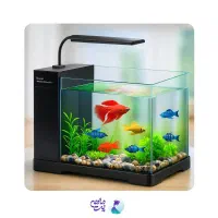 آکواریوم دلسابه همراه یک‌ عدد کوچک برای بچه ماهی