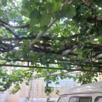 ویلایی خانه باغ واقع در نزدیکی باغبهادران|فروش خانه و ویلا|فولادشهر, زاینده رود|دیوار