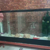 آکواریوم شیشه