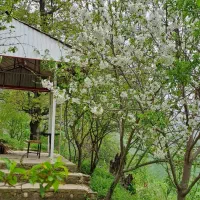 اجاره روزانه/هفتگی/ماهانه ویلا ۱۲۰۰ متری|اجارهٔ کوتاهمدت ویلا و باغ|مینودشت, |دیوار