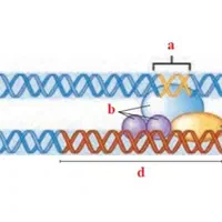 تدریس زیست شناسی کنکوری و تقویتی