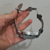 ساعت مچی الگانس|ساعت|ساری, |دیوار