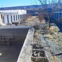 باغ دور دیوار|فروش زمین و ملک کلنگی|گلمکان, |دیوار