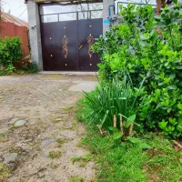 خانه ویلایی