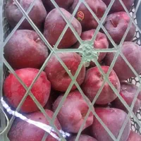 سیب درجه 2 و درجه 1|عمدهفروشی|ری, علایین|دیوار