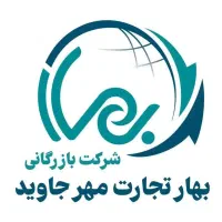 راننده (آقا) با ماشین