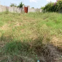 اجاره زمین۴۰۰متری جاده دریابرای گلخانه و پرورش نشا