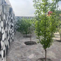 باغویلا شهرک بهار