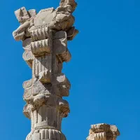 جویای کار شیفت صبح