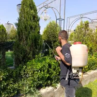سمپاشی و محلولپاشی زیر نظر گیاه پزشک|خدمات باغبانی و درختکاری|تهران, زعفرانیه|دیوار