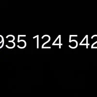 سیم کارت رند اینه ای