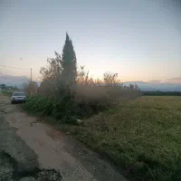 1000متر زمین مسکونی/ساحل کلفارود|فروش زمین و ملک کلنگی|تالش, طولارود|دیوار