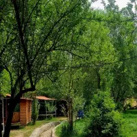 گردش در قوری قلعه