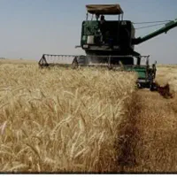 زمین کشاورزی