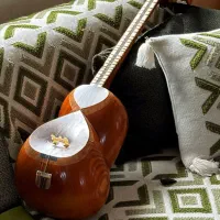 فروش تار در حدنو