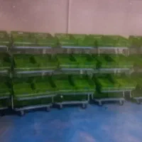 استخدام کارگر ساده آقا جهت انبار بسته  بندی میوه