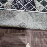 قالیچه|گلیم، جاجیم، گبه|شوش, |دیوار