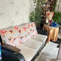 مبل ۷ نفره و بار درختی