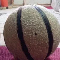 توپ|ورزش‌های توپی|سبزوار, شرق کال عیدگاه|دیوار