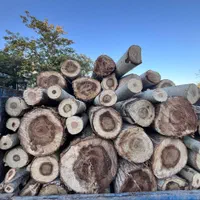 قطع انواع درخت و خرید چوب سقفی به صورت نقدی
