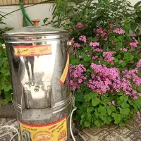 سبزی خرد کن