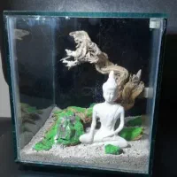 آکواریوم فایتر|ماهی|تهران, توحید|دیوار