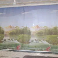 پرده زارا|پرده، رانر، رومیزی|اهواز, کوی مهدیس|دیوار