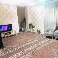 یک جفت فرش ۱۲ متری /کاملا سالم /زیر قیمت