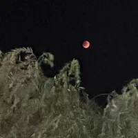 میلی رو‌نصب کن ۳۰۰ هزار جایزه ببر