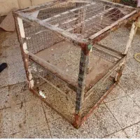 پایه کولرابی یاقفس