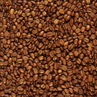 انواع دان قهوه و شکلات پودری جات کیفیت قیمت عمده