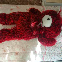 عروسک خرسی|اسباب‌‌بازی|بانه, |دیوار