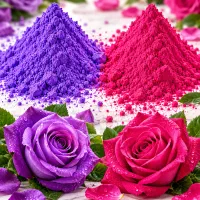 رنگ پودری مخصوص رنگ آمیزی  گل شاخه بریده