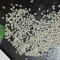 کارگر ساده در کارخانه برنجکوبی|استخدام صنعتی، فنی، مهندسی|میانه, |دیوار